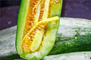 免费吃网红的瓜最新,免费吃瓜背后的秘密与真相